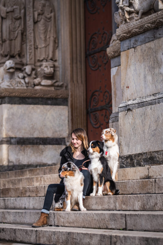 Arles-4 Krankheiten vorbeugen: Warum Barfen die beste Ernährungsentscheidung für Ihren Australian Shepherd ist