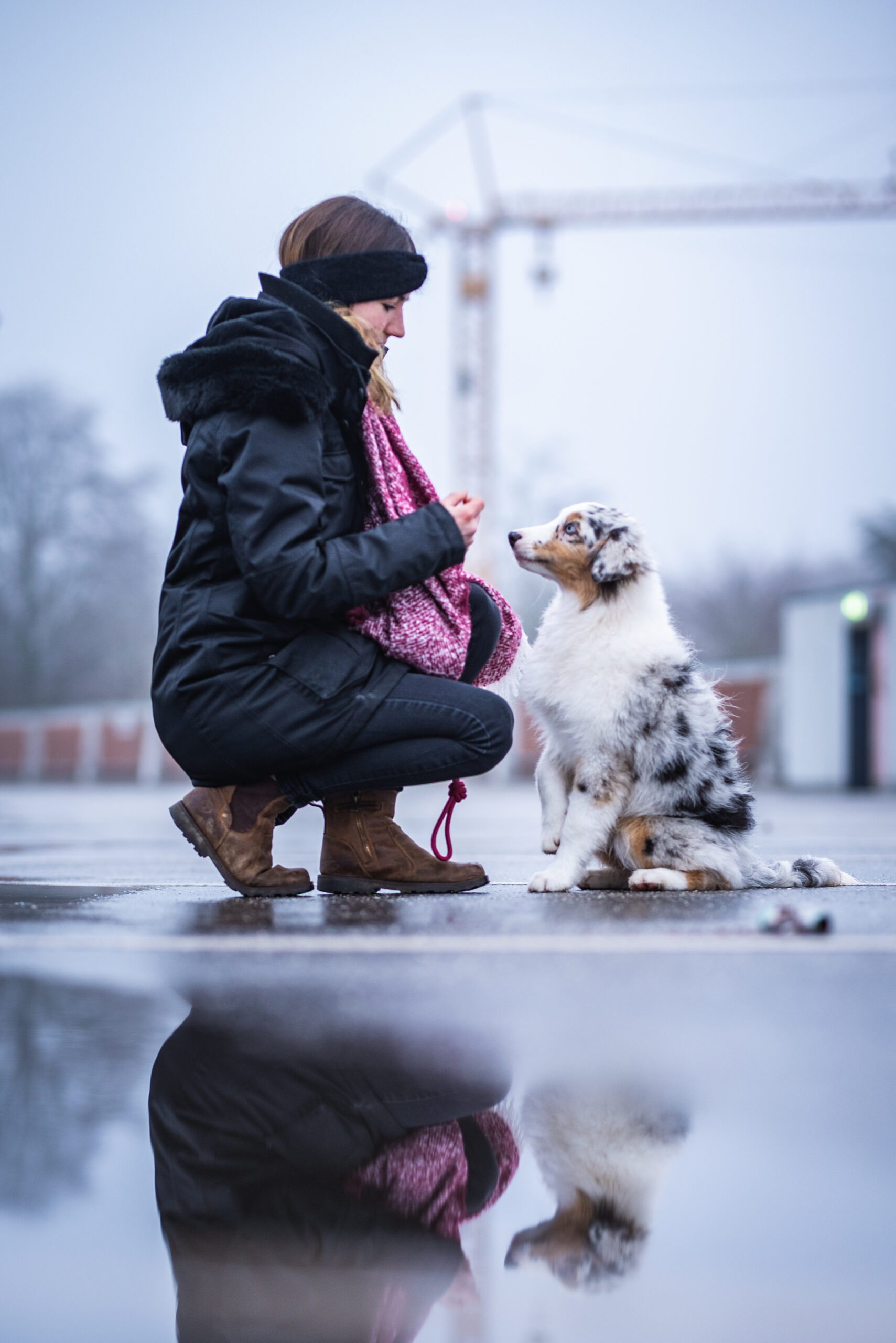 Parkhaus-1 Bist du bereit für die Herausforderungen der Australian Shepherd Erziehung?