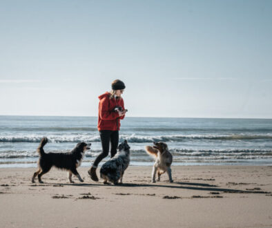 Strand-2