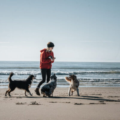 Strand-2