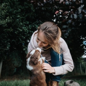 Hundewelpen kaufen Australian Shepherd